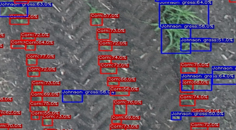 Vihaa crop detection labels
